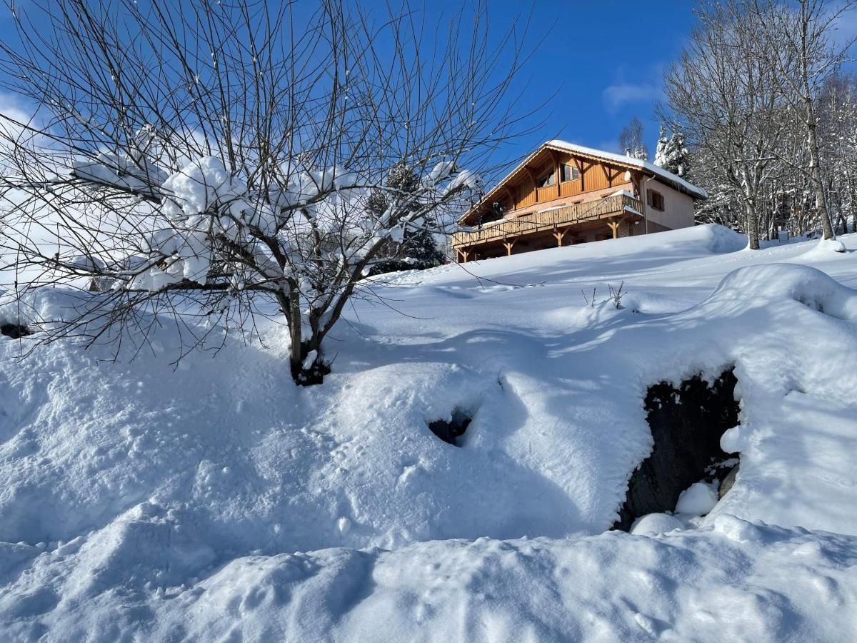 Chalet Spa Le Diamant Nathalie Mn La Rouge Ла-Бресс Экстерьер фото
