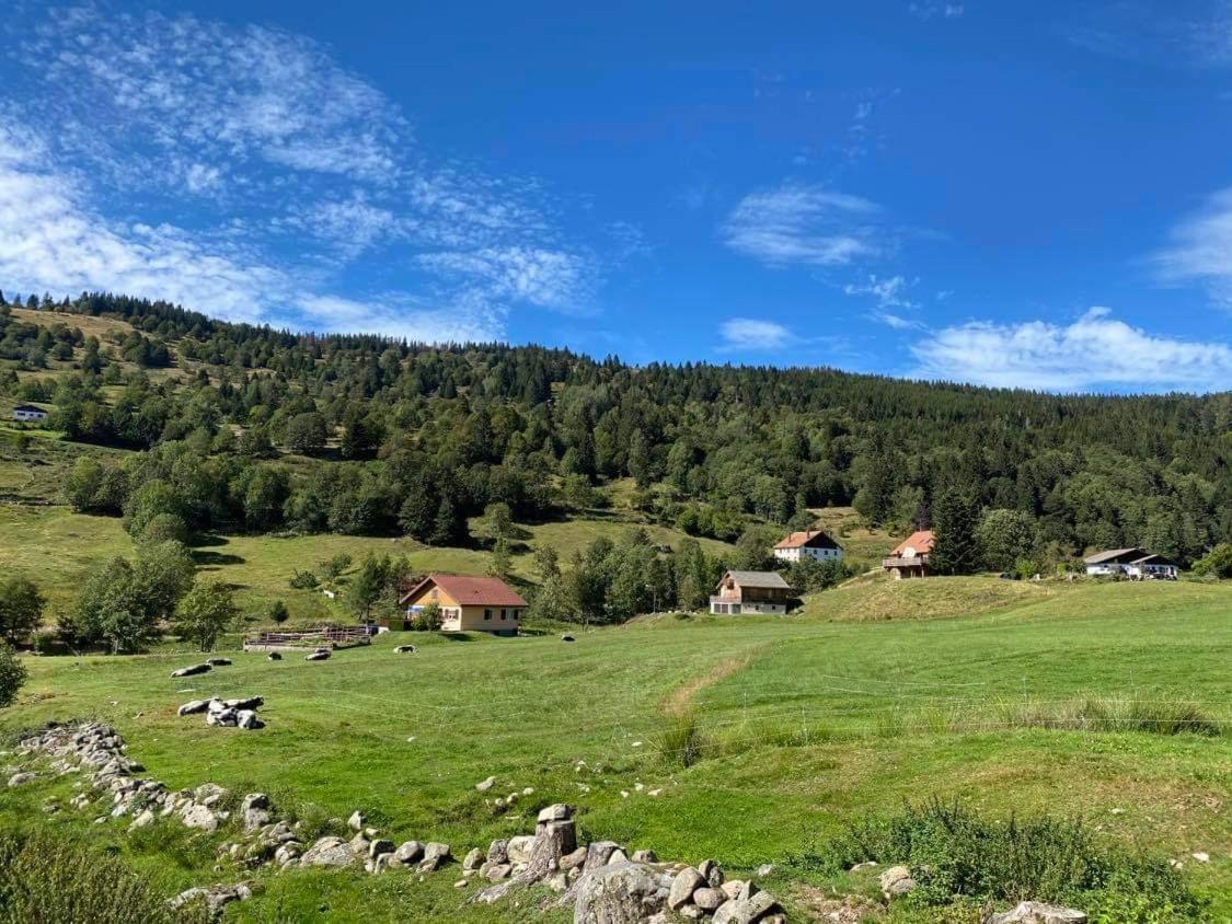 Chalet Spa Le Diamant Nathalie Mn La Rouge Ла-Бресс Экстерьер фото